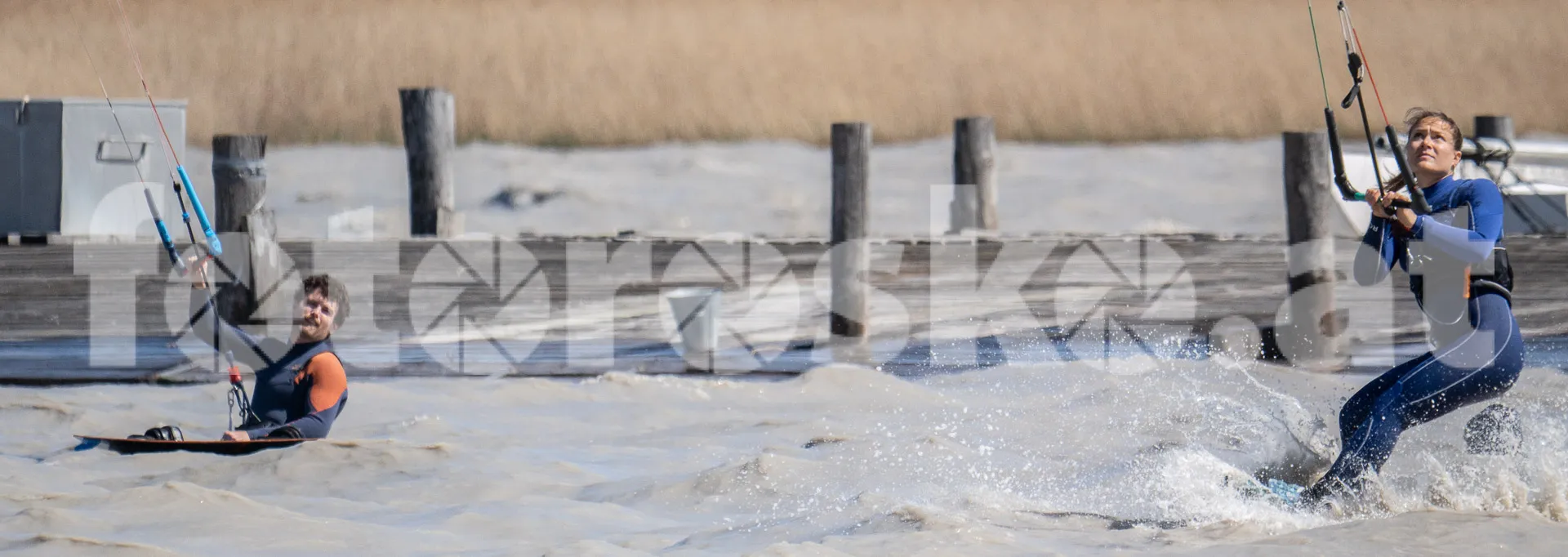 blog-image